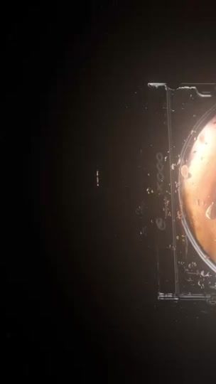 TikTok video thumbnail by luciixyzz