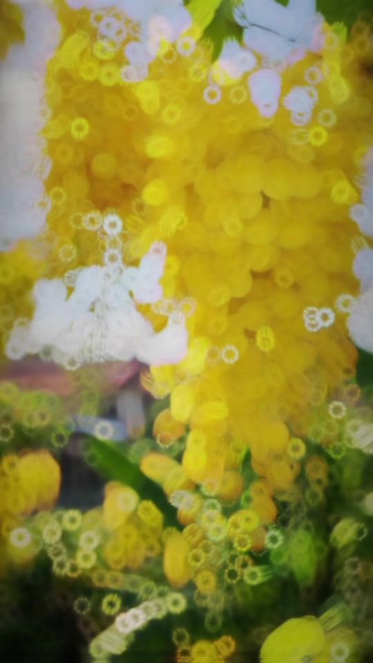 TikTok video thumbnail by yadanar.moe325