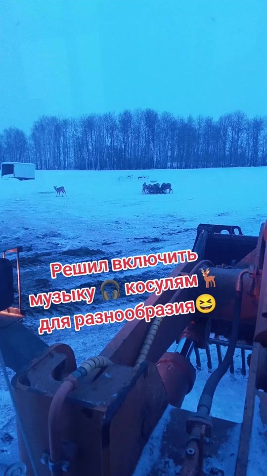 TikTok video thumbnail by _misha92