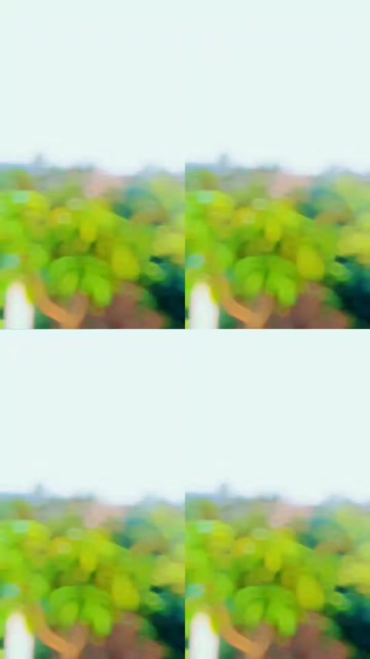 TikTok video thumbnail by sk_____sk01