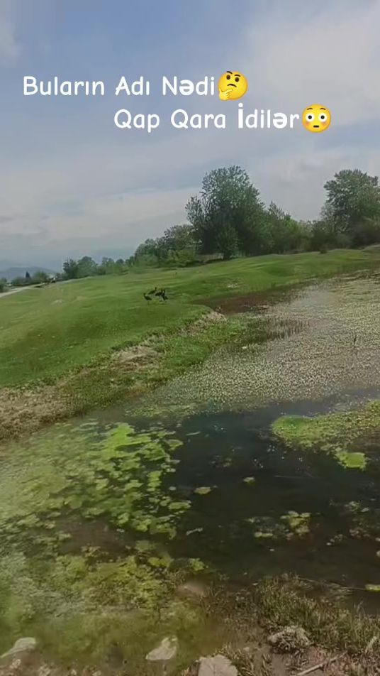 TikTok video thumbnail by menim_nefesim_555