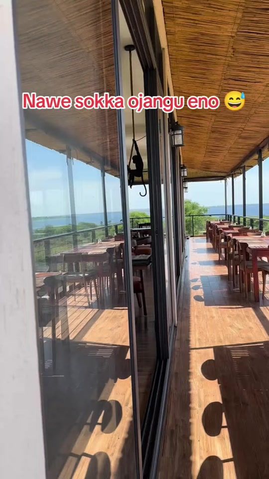 TikTok video thumbnail by rokah_safaris