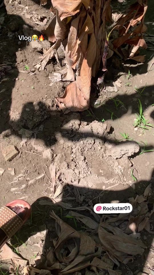 TikTok video thumbnail by chacha_dex