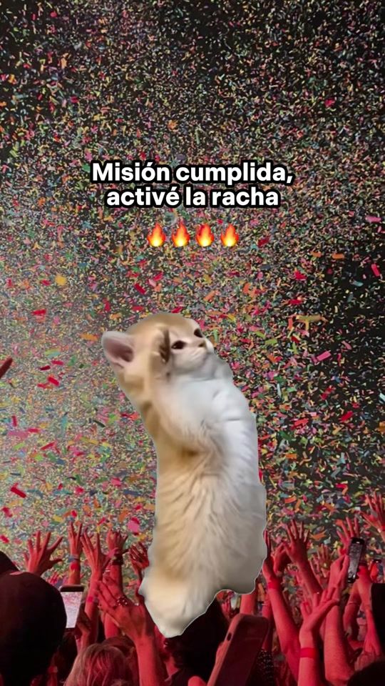 TikTok video thumbnail by templates_yd