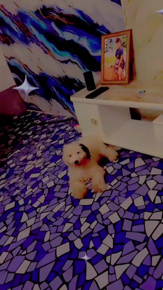 TikTok video thumbnail by pradoprado706