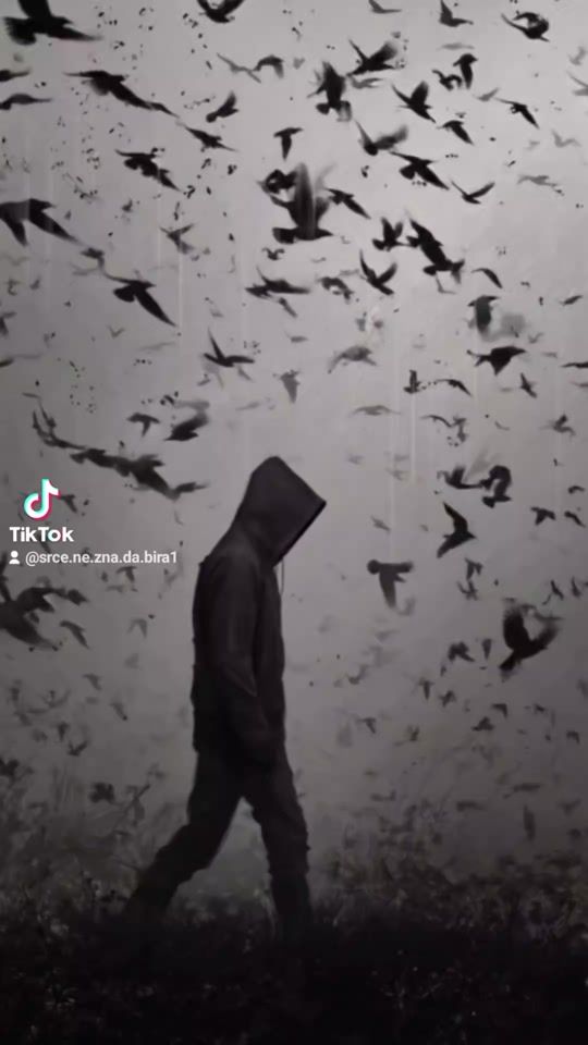 TikTok video thumbnail by srce.ne.zna.da.bira1