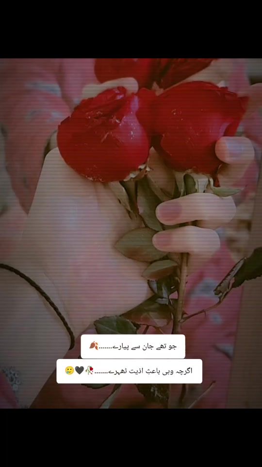 TikTok video thumbnail by wchaudhry143