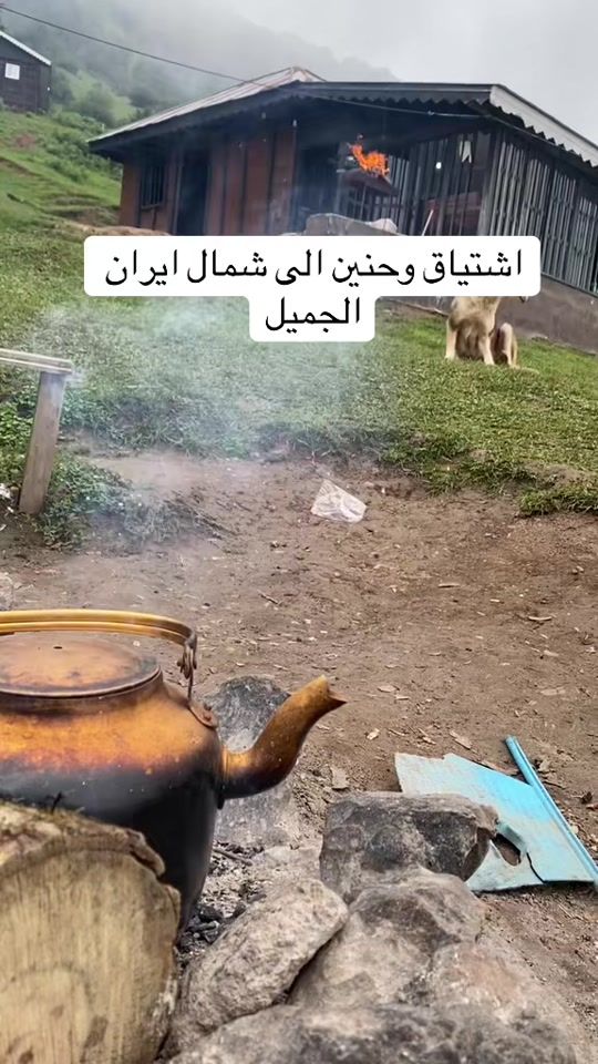 TikTok video thumbnail by shmaliran
