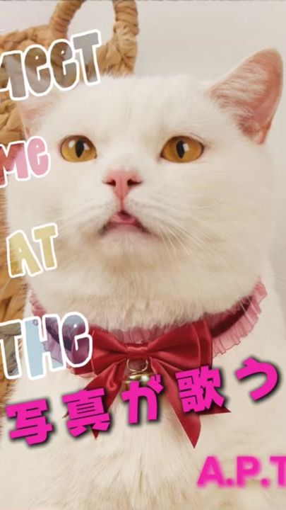TikTok video thumbnail by ts50hustlersub