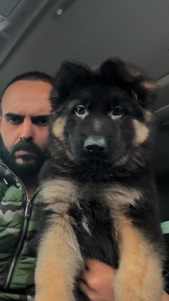 TikTok video thumbnail by ahmed.d33