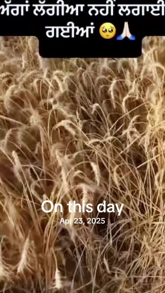 TikTok video thumbnail by punjabbolda69