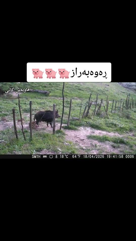 TikTok video thumbnail by hawbash.kany.official