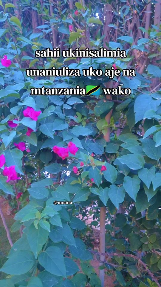TikTok video thumbnail by moana....7