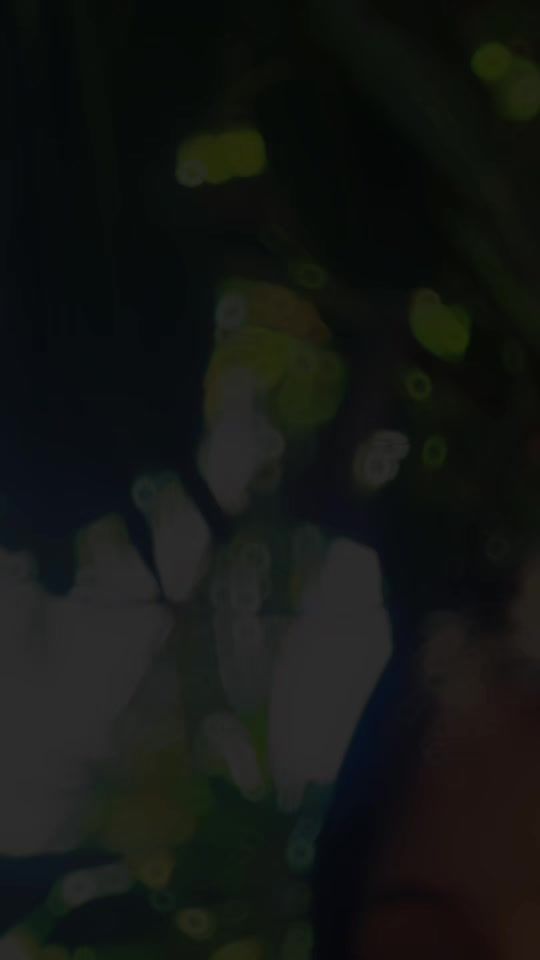 TikTok video thumbnail by g.a.jelin