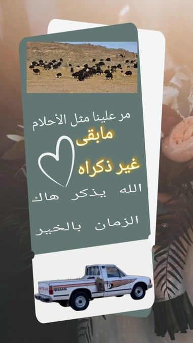 TikTok video thumbnail by abobader_