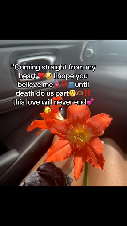 TikTok video thumbnail by bhadd_we_bhadd