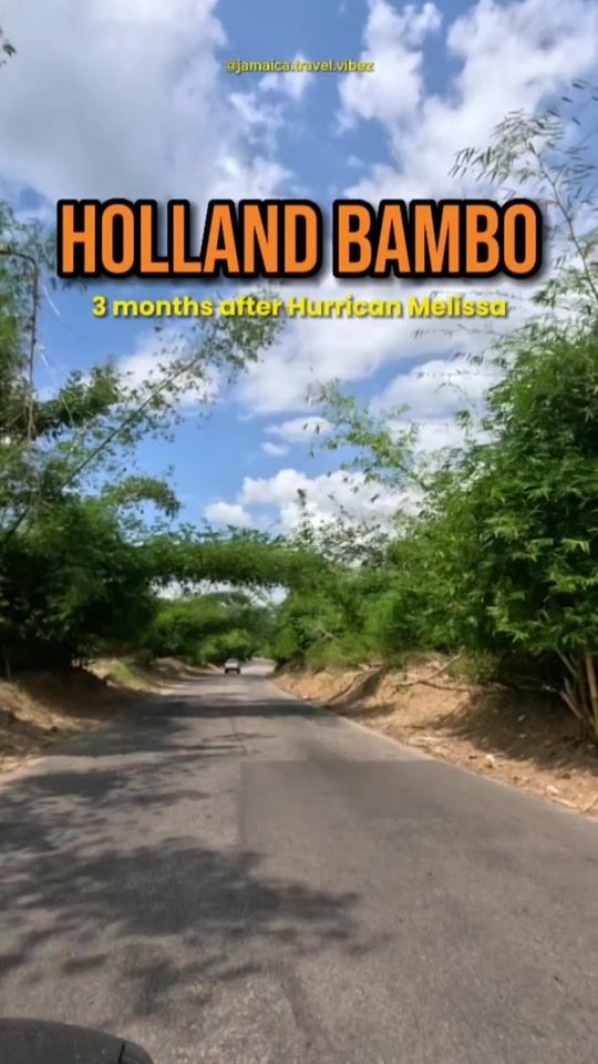 TikTok video thumbnail by jamaica.travel.vibez