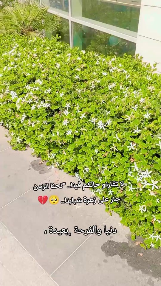 TikTok video thumbnail by gigicell55