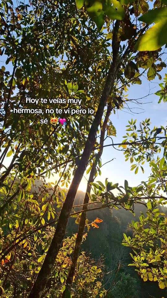 TikTok video thumbnail by ahrfrases