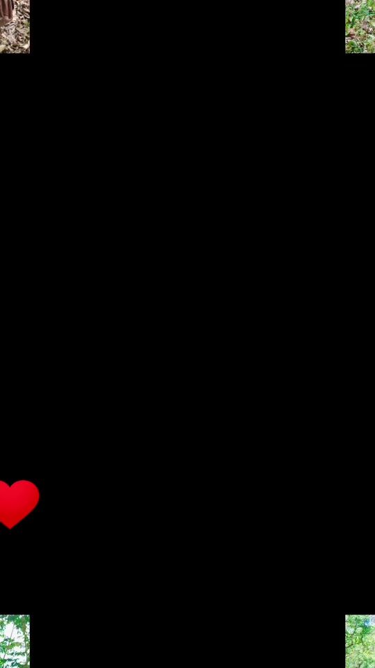 TikTok video thumbnail by aydegonzalez00