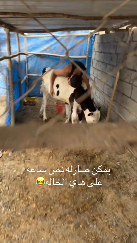 TikTok video thumbnail by ali_ismeil_official