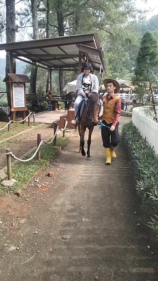TikTok video thumbnail by user8102499436861