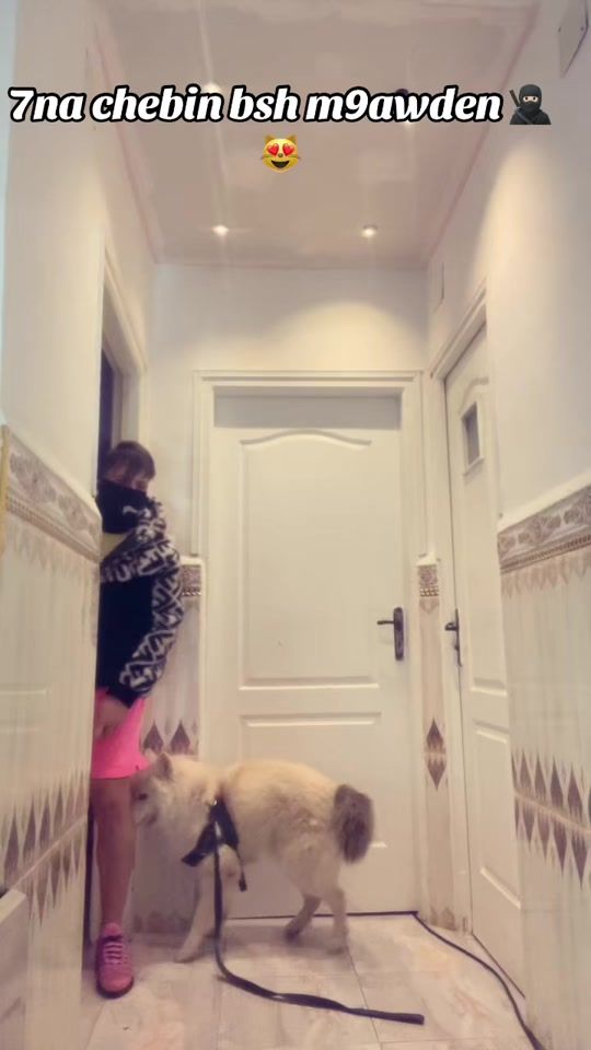 TikTok video thumbnail by youcef_you12