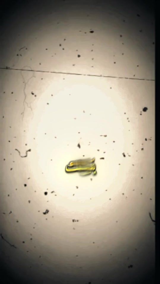 TikTok video thumbnail by _y_u_o_s_s_f_