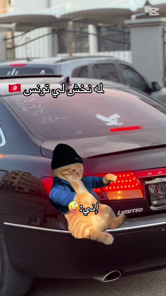 TikTok video thumbnail by hamdi_gaht2005