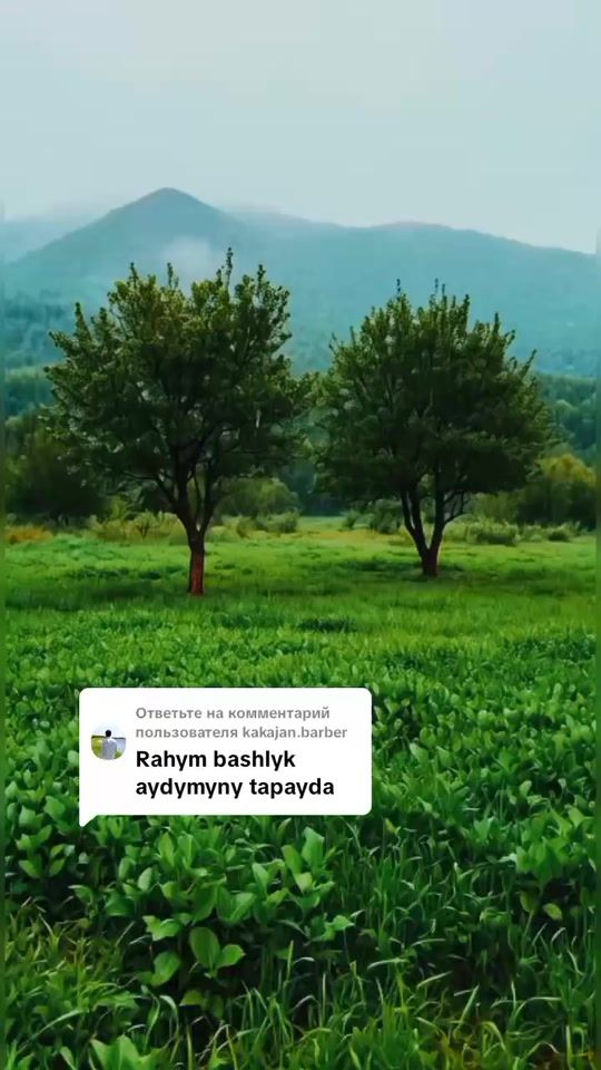TikTok video thumbnail by kay__tm