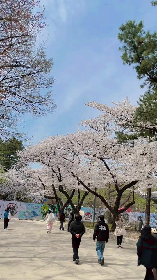 TikTok video thumbnail by ds.astro