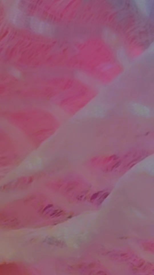 TikTok video thumbnail by elfanesh.dassa4