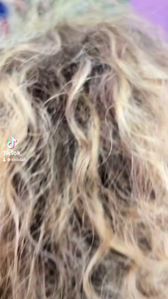 TikTok video thumbnail by bsxh8