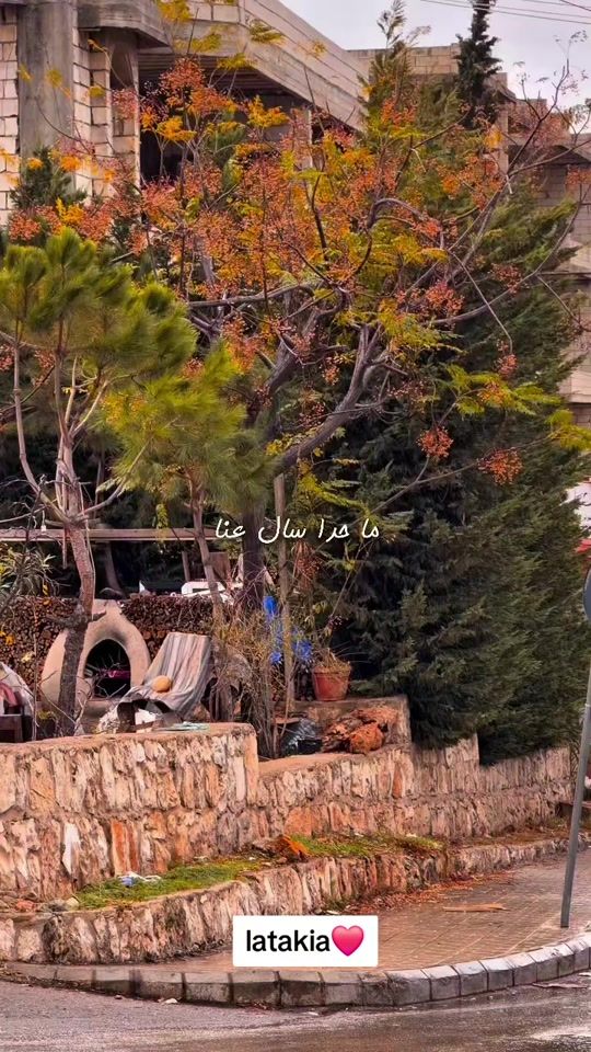 TikTok video thumbnail by aristotle.faris