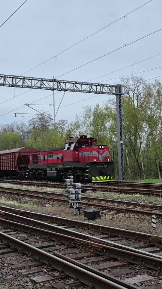 TikTok video thumbnail by tram_mk