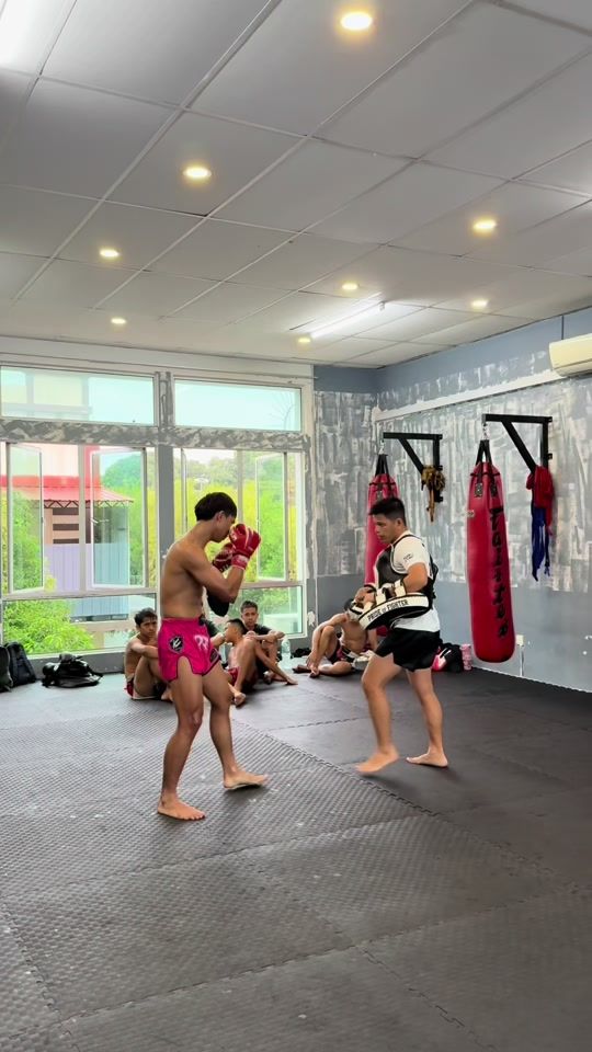TikTok video thumbnail by riedzwan66