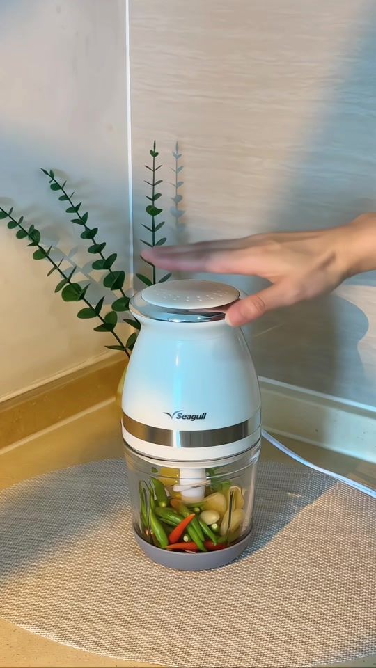 TikTok video thumbnail by seagull_electric