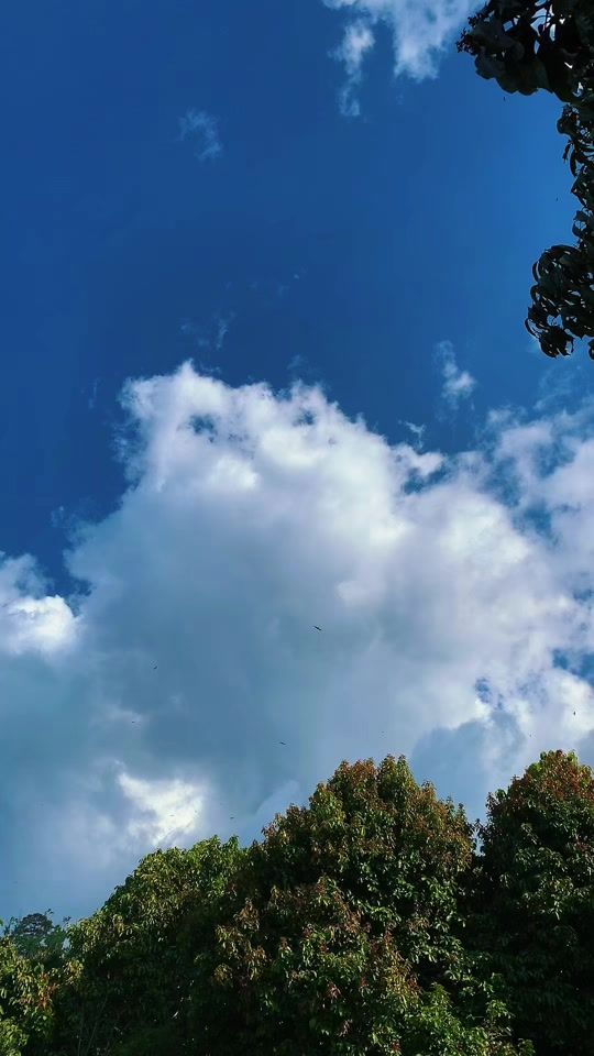 TikTok video thumbnail by omar.ponce013