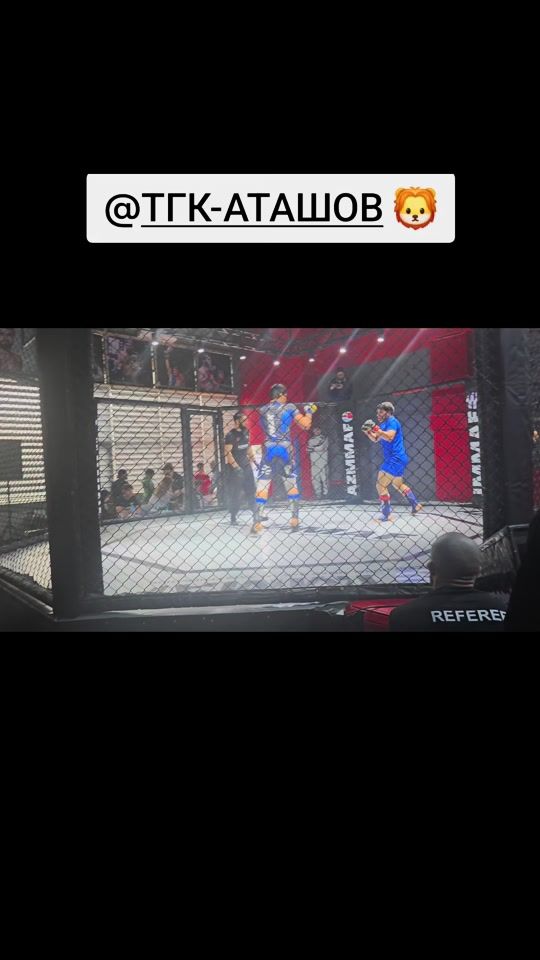 TikTok video thumbnail by mma__2023