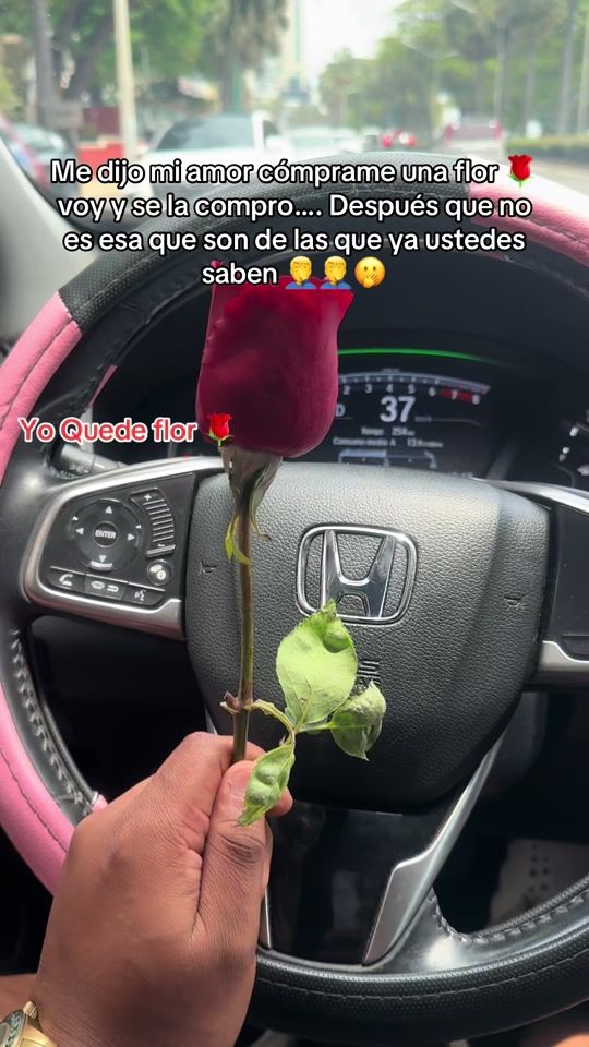 TikTok video thumbnail by yowel_23