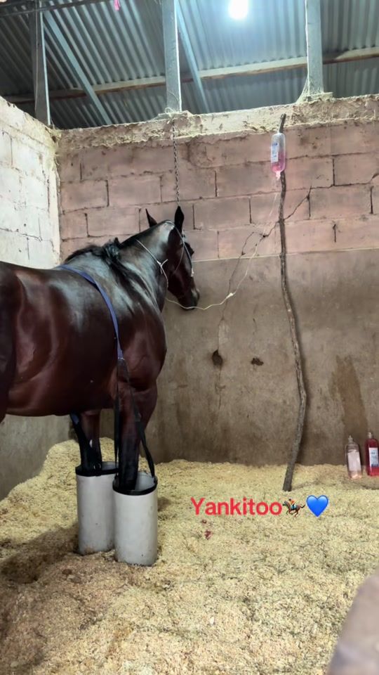 TikTok video thumbnail by ale.arballo522