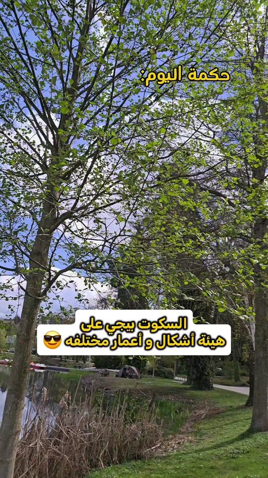 TikTok video thumbnail by alaa_almunlla