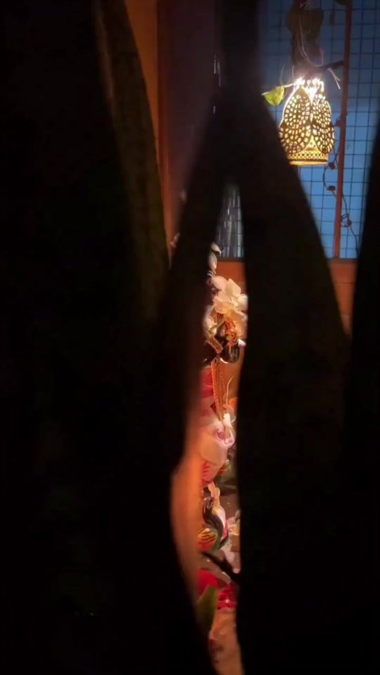 TikTok video thumbnail by shankor11