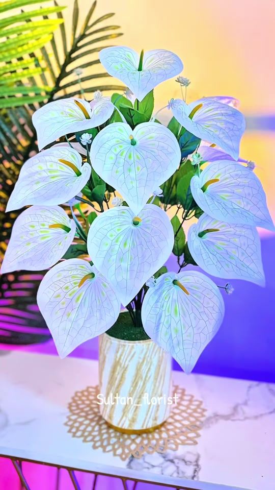 TikTok video thumbnail by sultanflorist