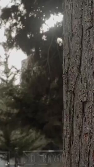 TikTok video thumbnail by abbasmustafaef