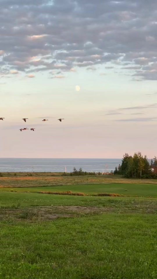 TikTok video thumbnail by partiquebecois