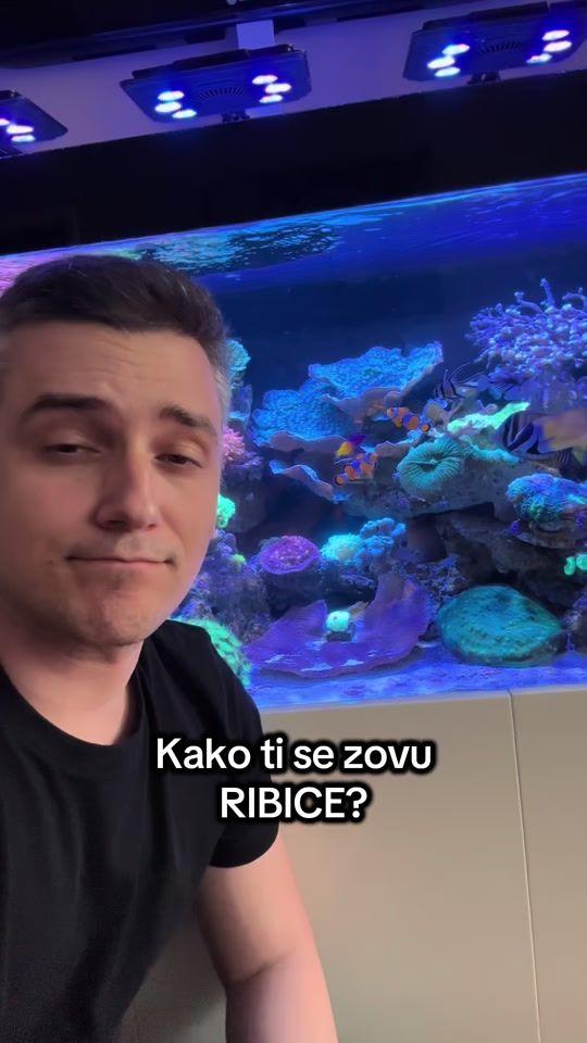 TikTok video thumbnail by vrelisha