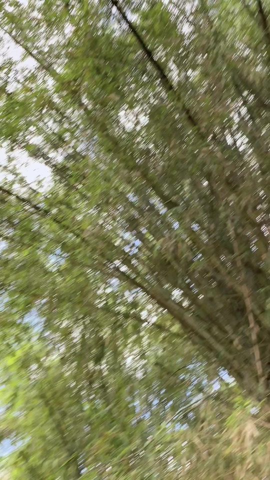 TikTok video thumbnail by ouhmyzein