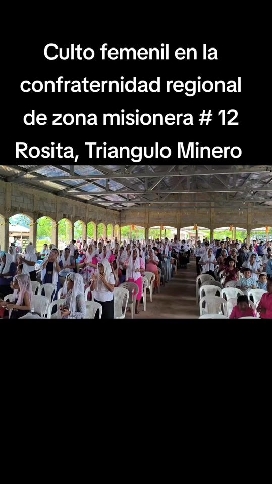 TikTok video thumbnail by manantialdevida15