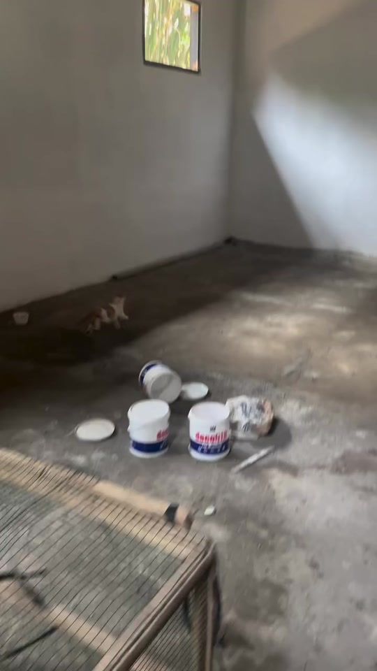 TikTok video thumbnail by urax_jamanc_